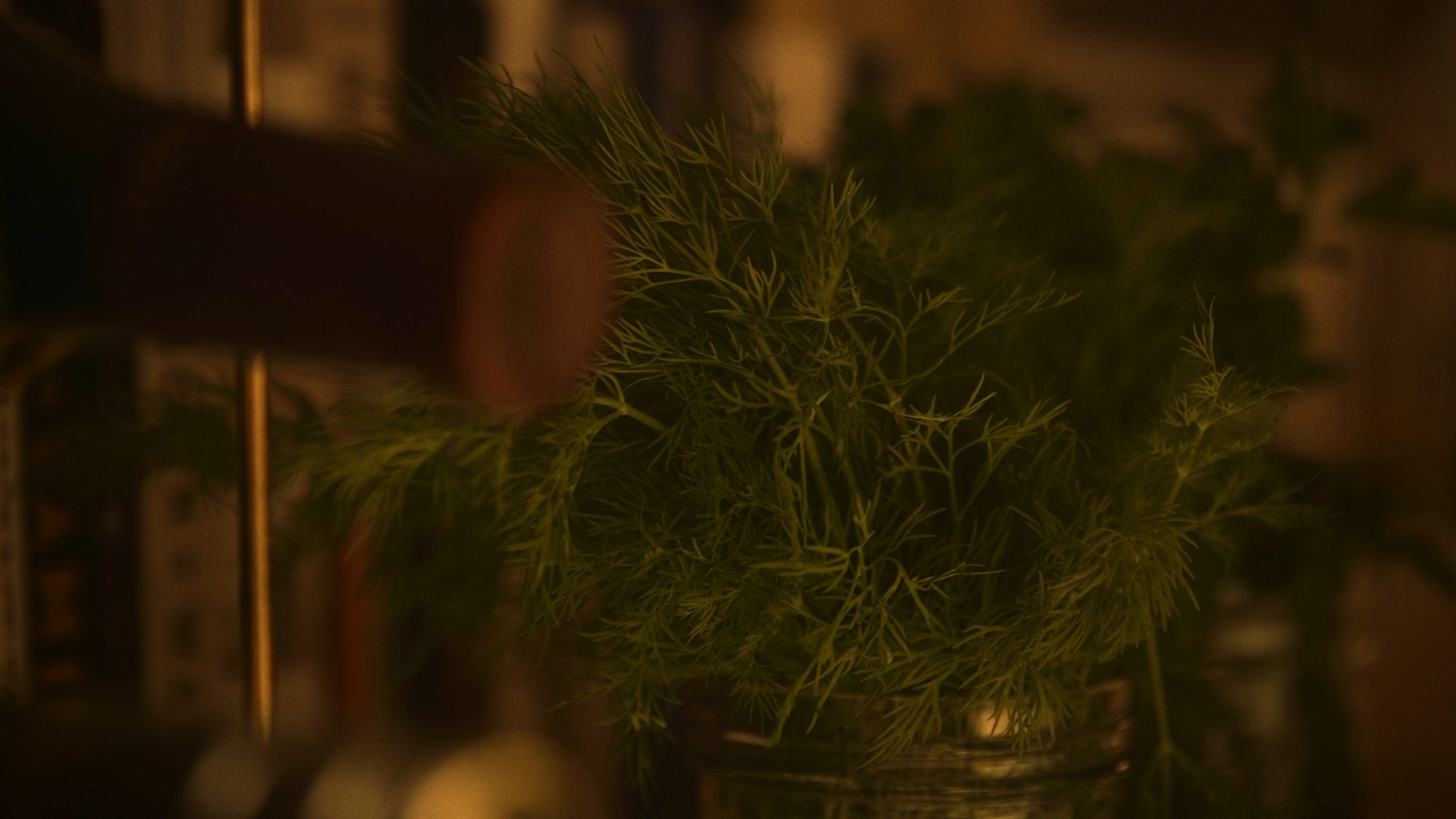 a night in. — still 5