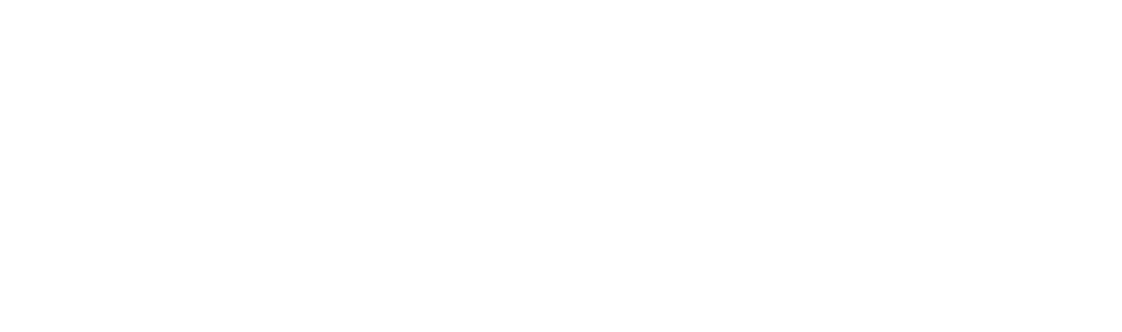 Vice